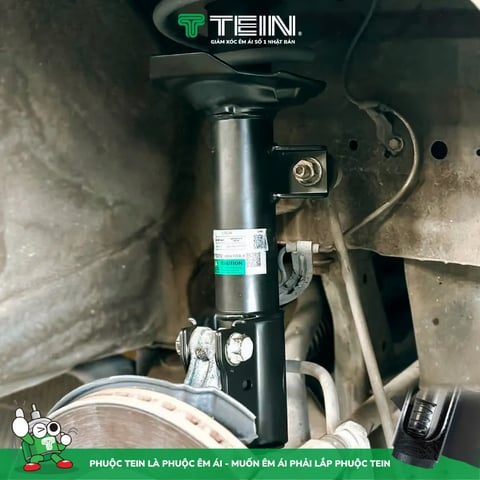 Phuộc Nhún TOYOTA VELOZ (2019+) TEIN BASIC - ảnh 4