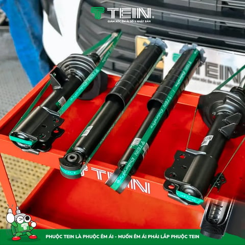 Phuộc Nhún TOYOTA VELOZ (2019+) TEIN BASIC - ảnh 3